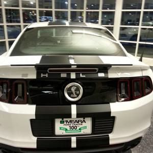 Meet your Posher, George